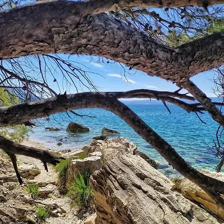 Skejic Апартаменты Сплит