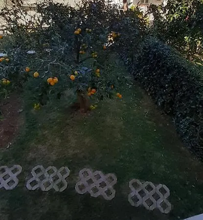 Skejic Апартаменты Сплит